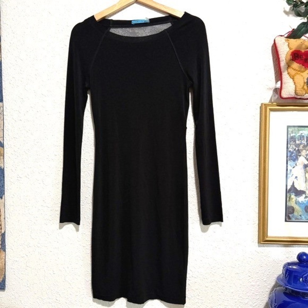 Alice + Olivia women witchy dark romance fairy Black Sheer Mesh Mini Dress S‎